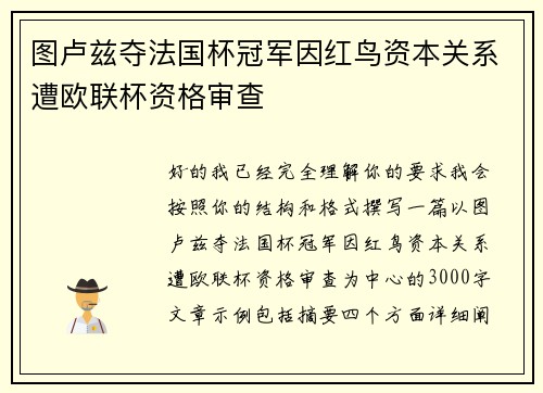 图卢兹夺法国杯冠军因红鸟资本关系遭欧联杯资格审查 图卢兹夺法国杯冠军因红鸟资本关系遭欧联杯资格审查